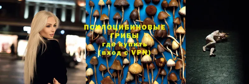 как найти закладки  Инсар  гидра как зайти  Псилоцибиновые грибы Magic Shrooms 